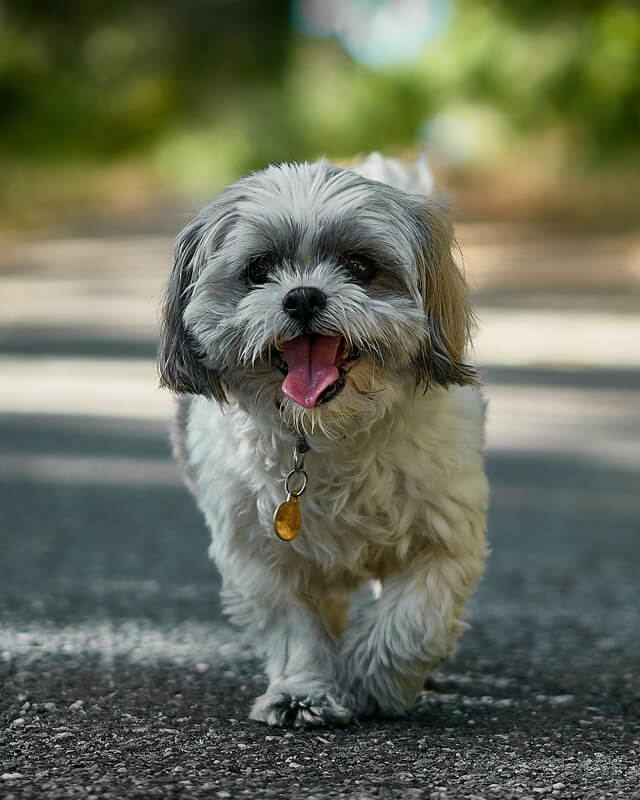 formulario de contacto